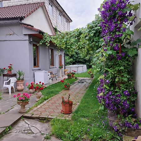Marco'S Studio Făgăraş Dış mekan fotoğraf